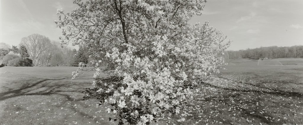 Untitled, Long Island