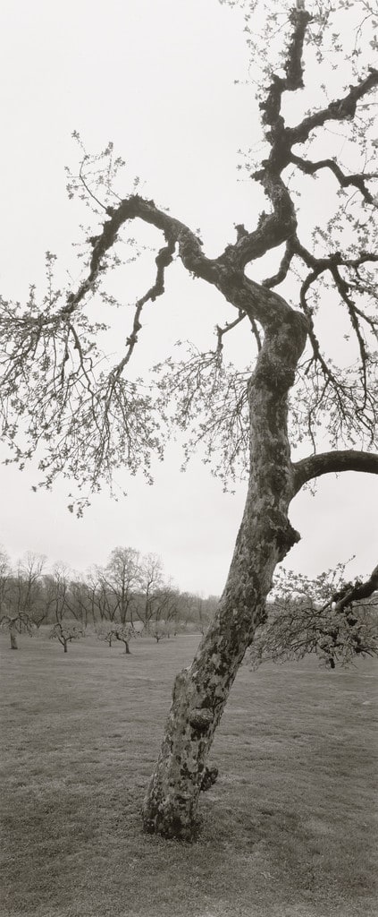 Untitled, Long Island
