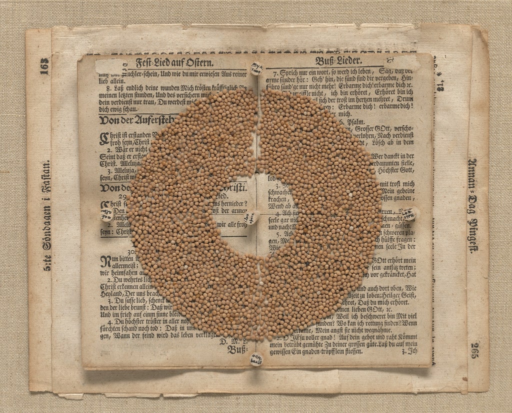 Seed Circle
