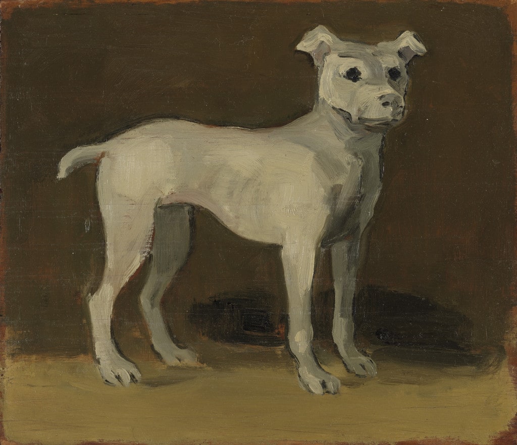 The Grey Dog