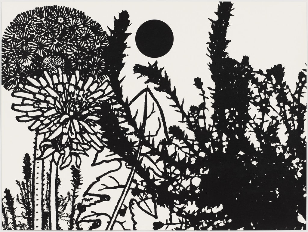 Untitled from Black Dahlias