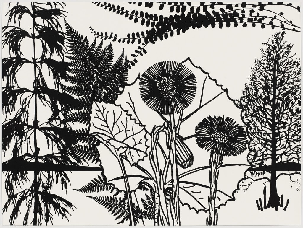 Untitled from Black Dahlias