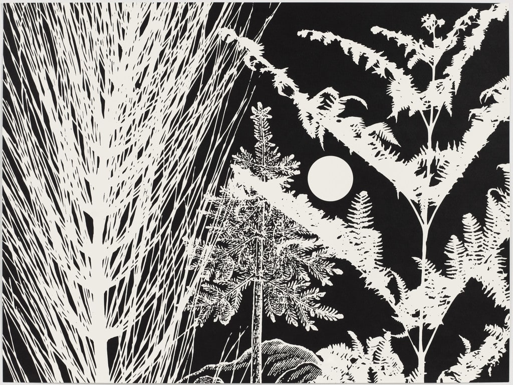 Untitled from Black Dahlias