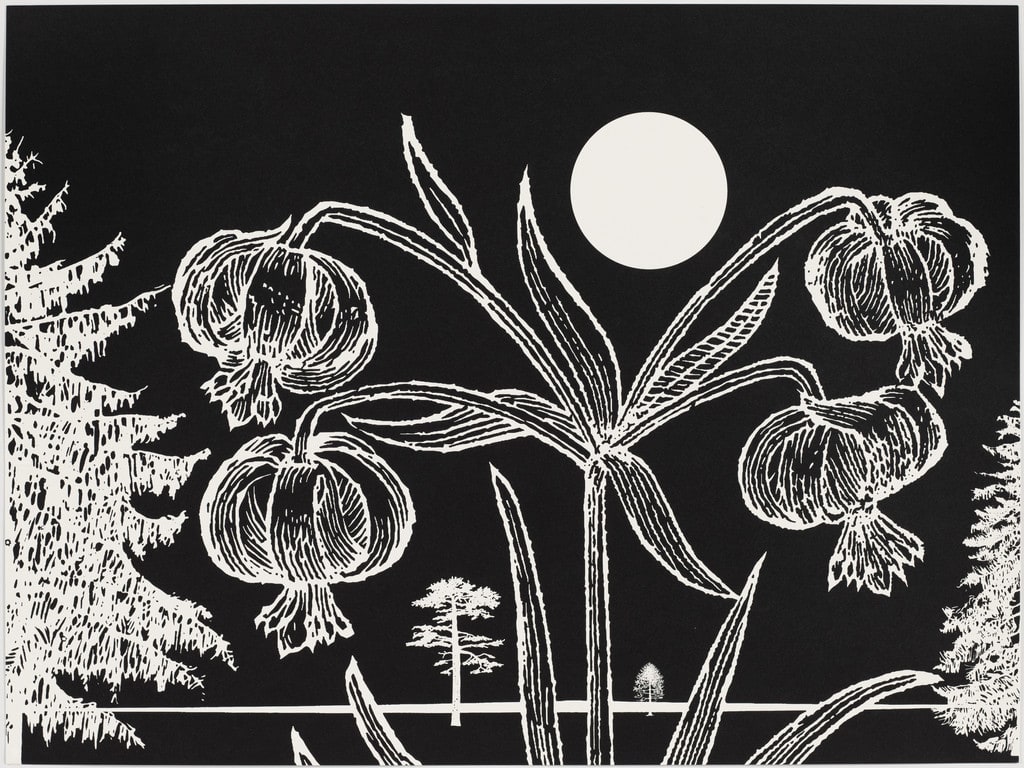 Untitled from Black Dahlias