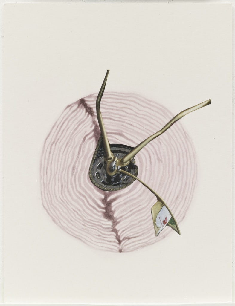 Untitled from Eve