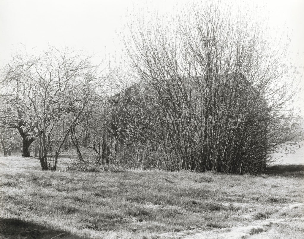 Folly, Easter Morning