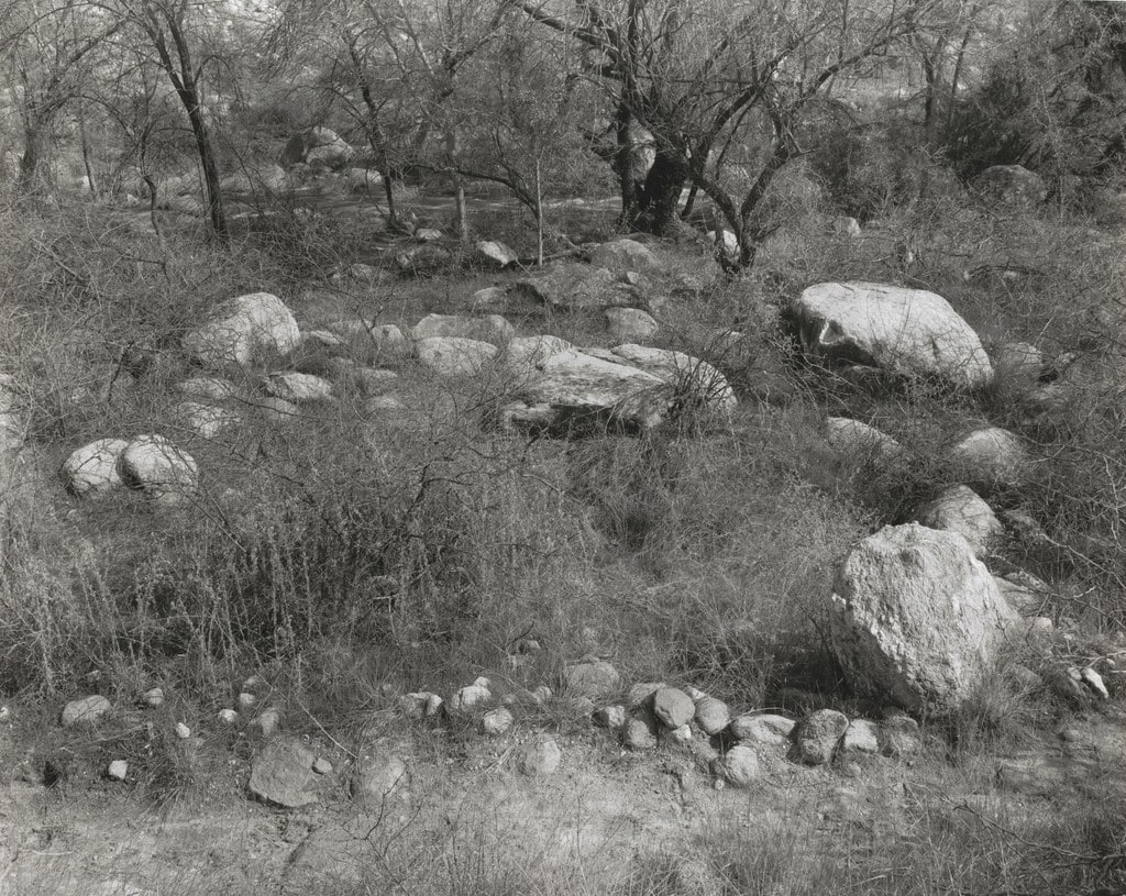 Sonoran Landscape #5