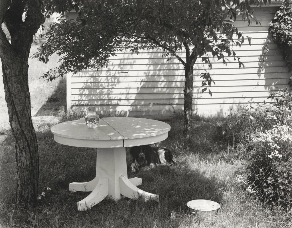 Mathew Brady in the Backyard II