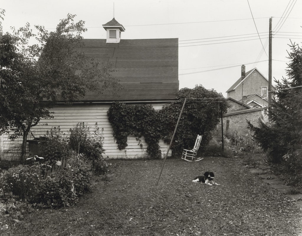 Mathew Brady in the Backyard I