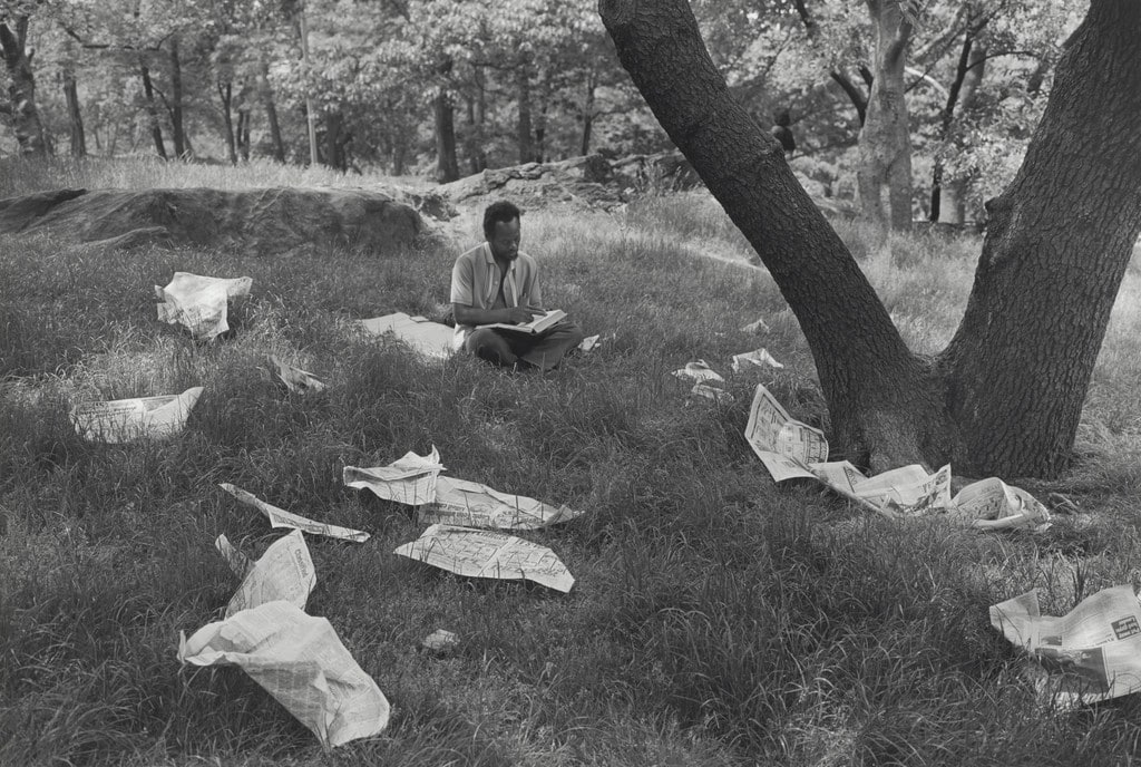 Man and Newspapers in Grass, Central Park