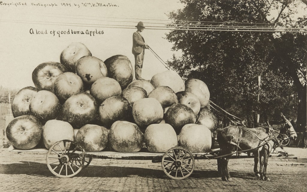 A Load of Good Iowa Apples