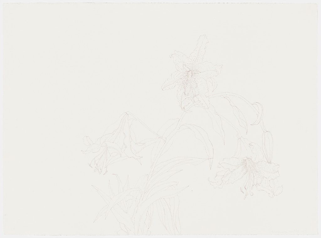 Flower Drawing