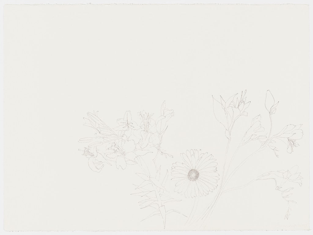 Flower Drawing