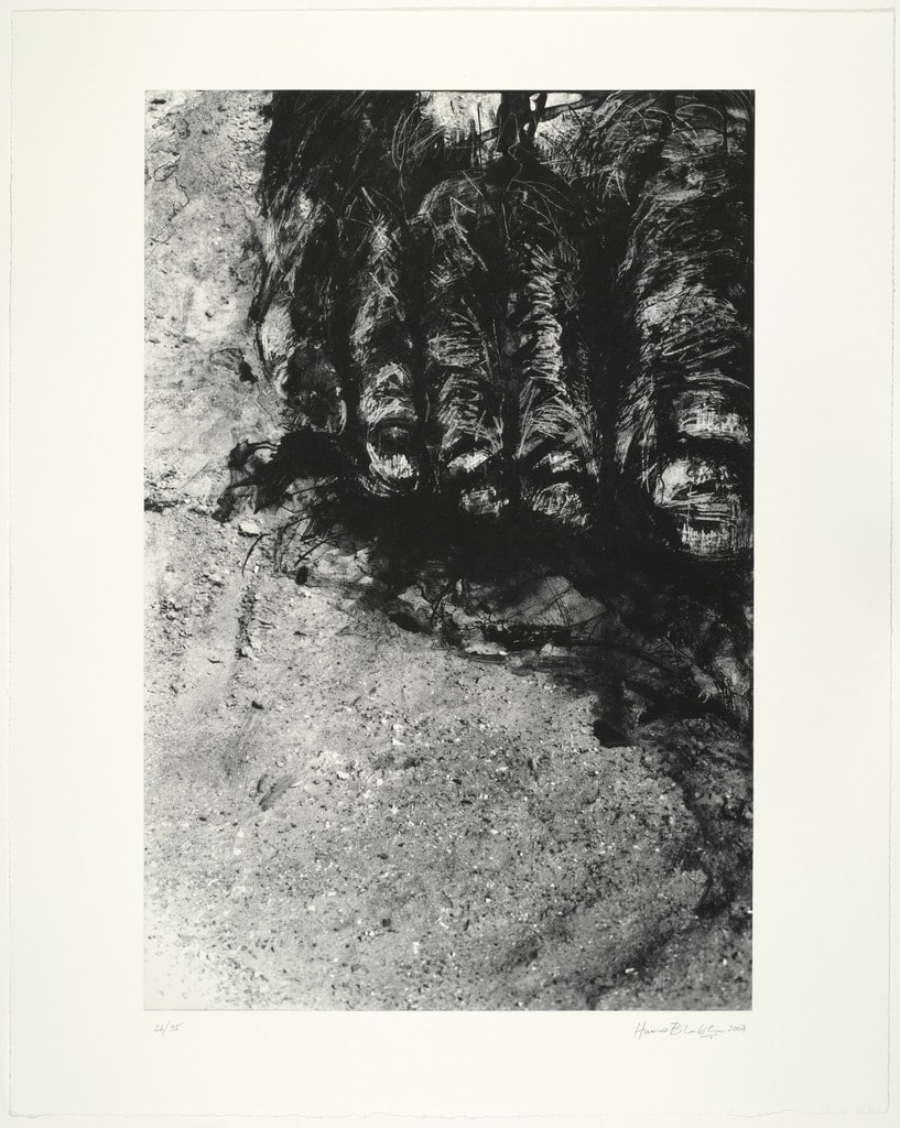 Reconstructions