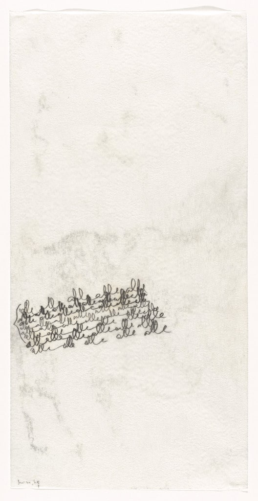 Untitled from the series Written (Escritas)