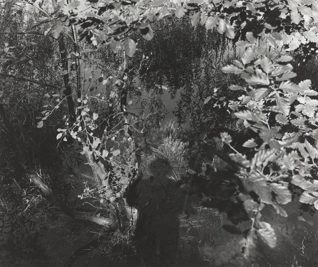 Jezioro Roznow
