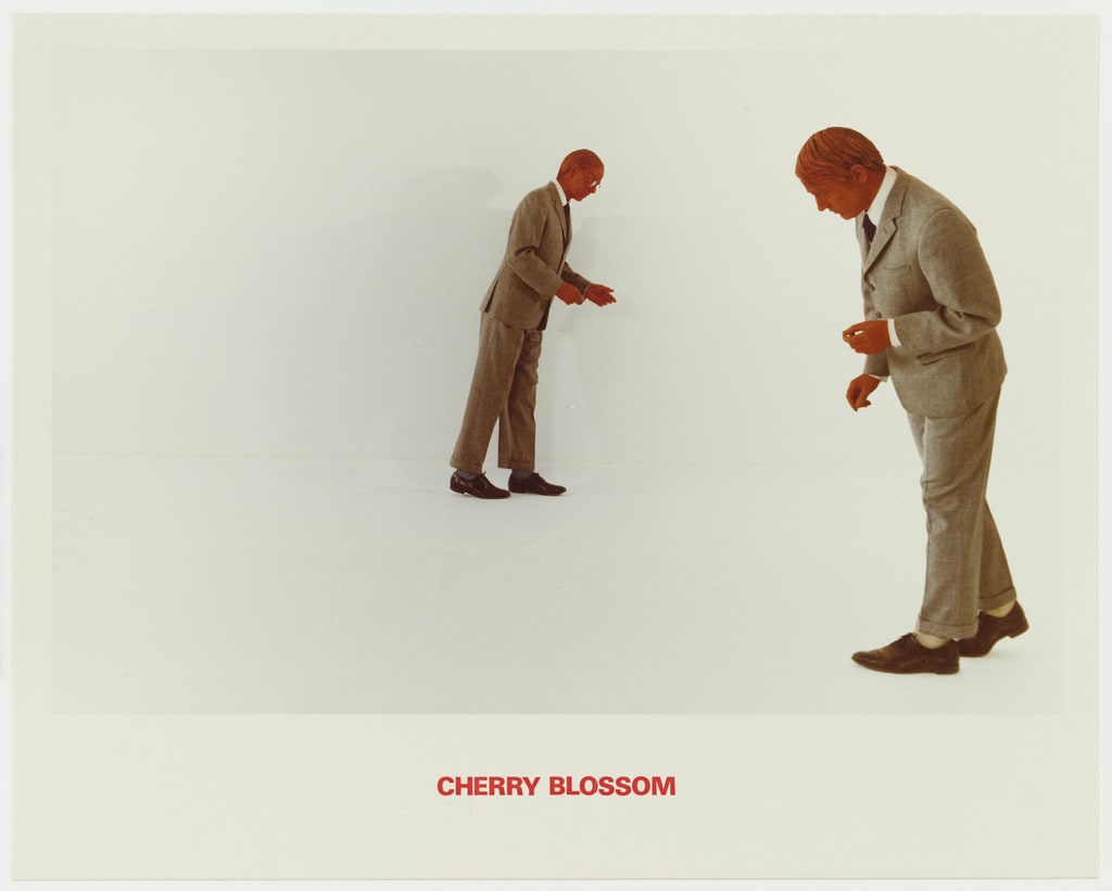 Cherry Blossom