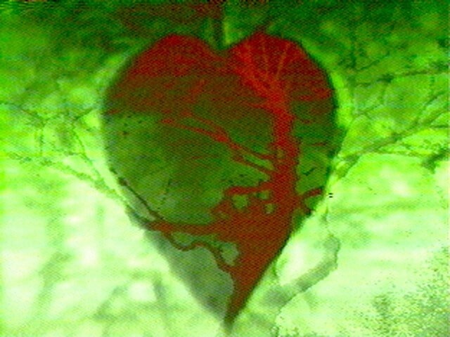 Hearts