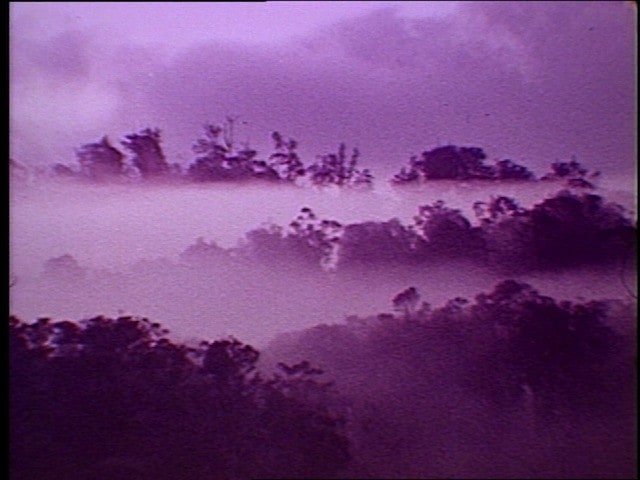 Three Dreams from The Hundred Videos