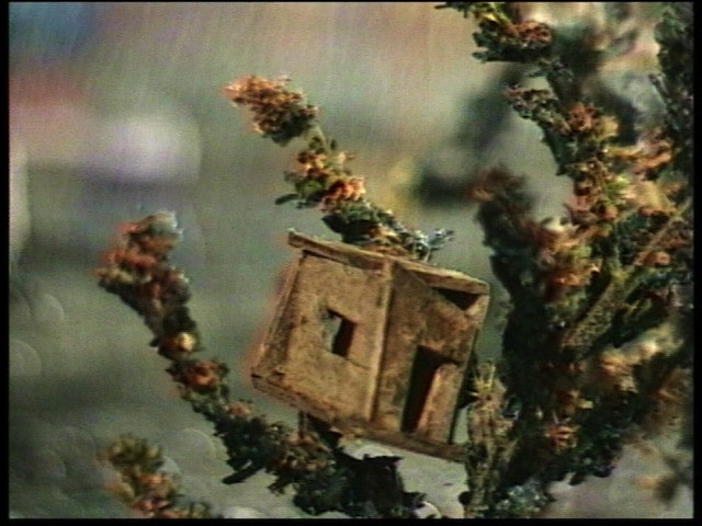 Treehouse