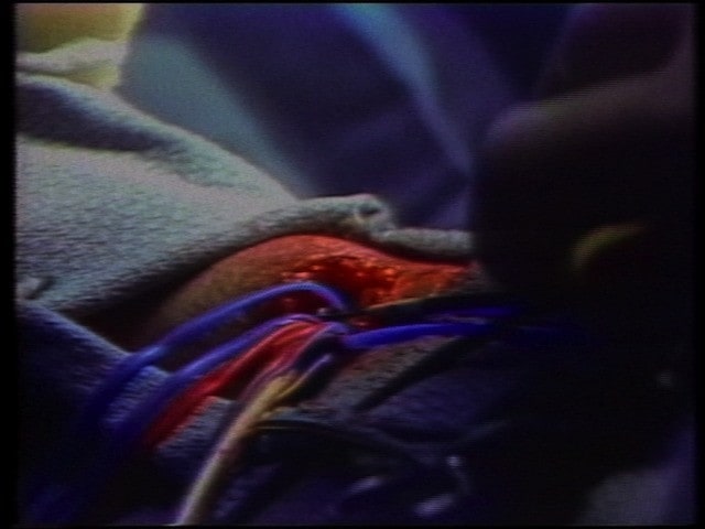 Visuals Elf from The Hundred Videos