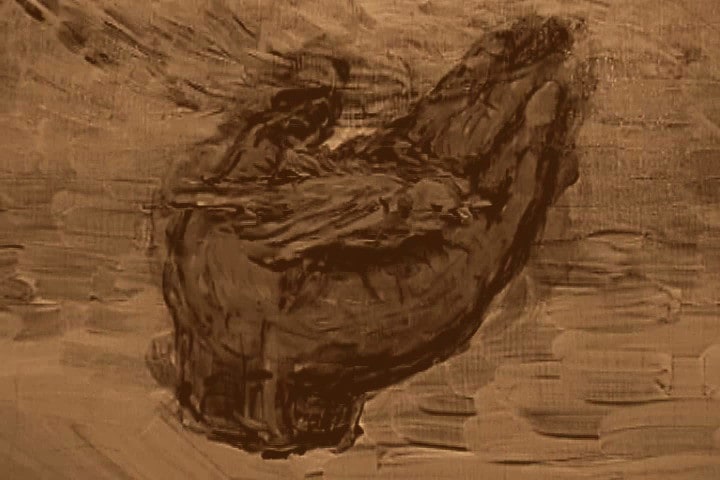 Story About a Bird