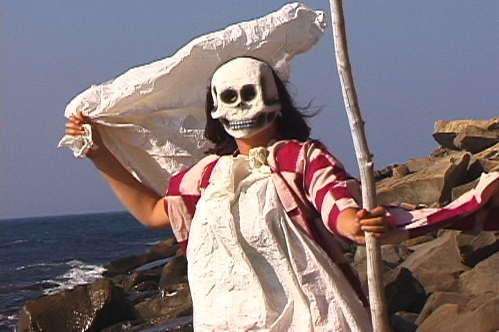 Waltz from Point of View: An Anthology of the Moving Image