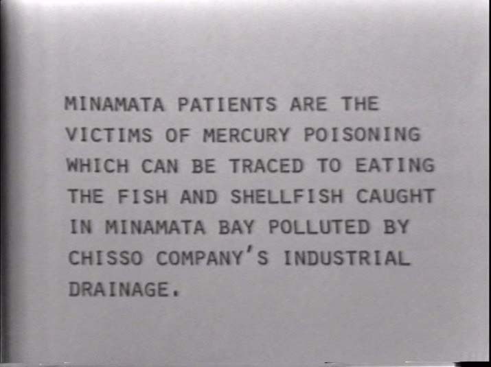 Friends of Minamata Victims - Video Diary