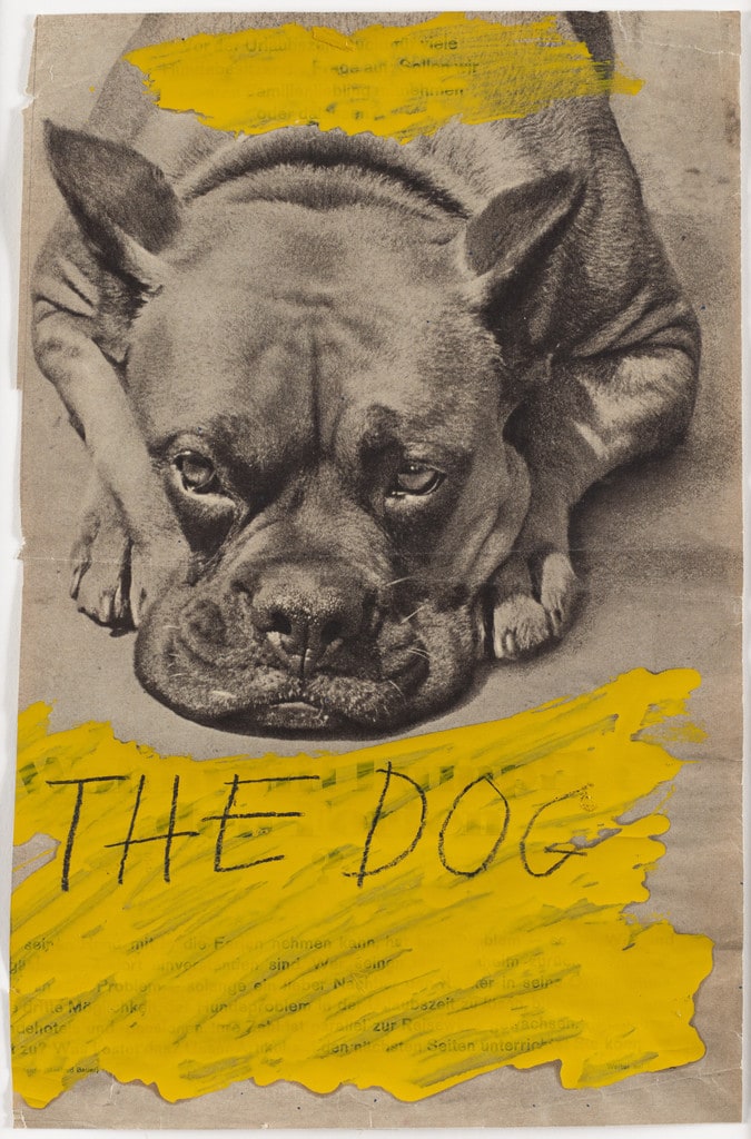 The Dog