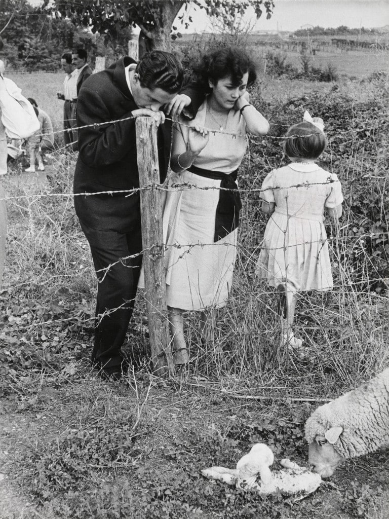 Alberto Rossi and his Fiancée, Rossana Teatini, Watch as a Mother Sheep Nuzzles her Newborn Lamb, Italy