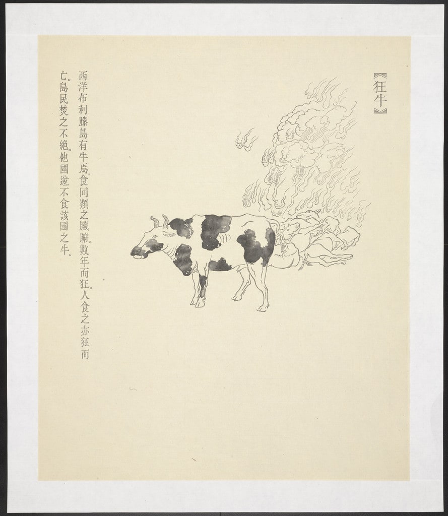 Kuang Niu from New Classic of Mountains and Seas