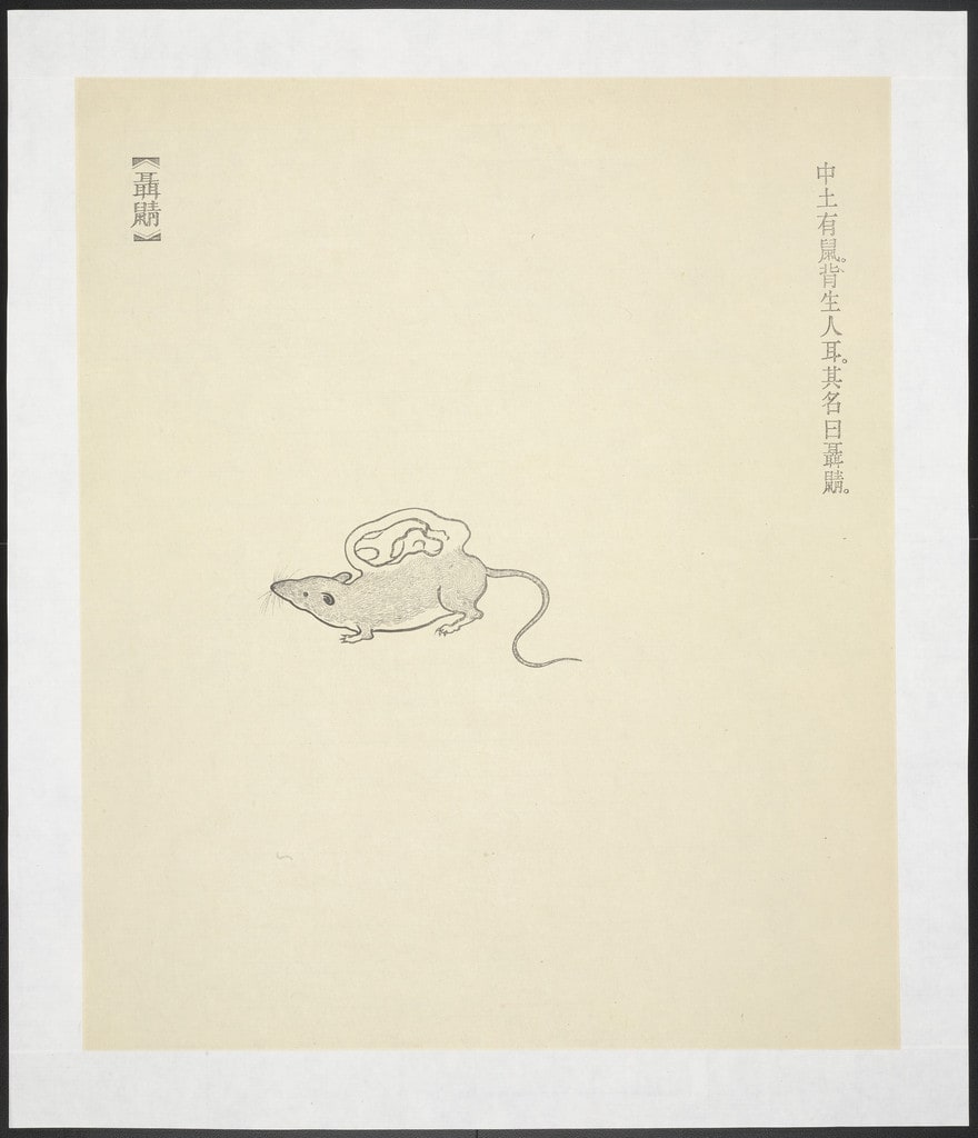 Nie Shu from New Classic of Mountains and Seas
