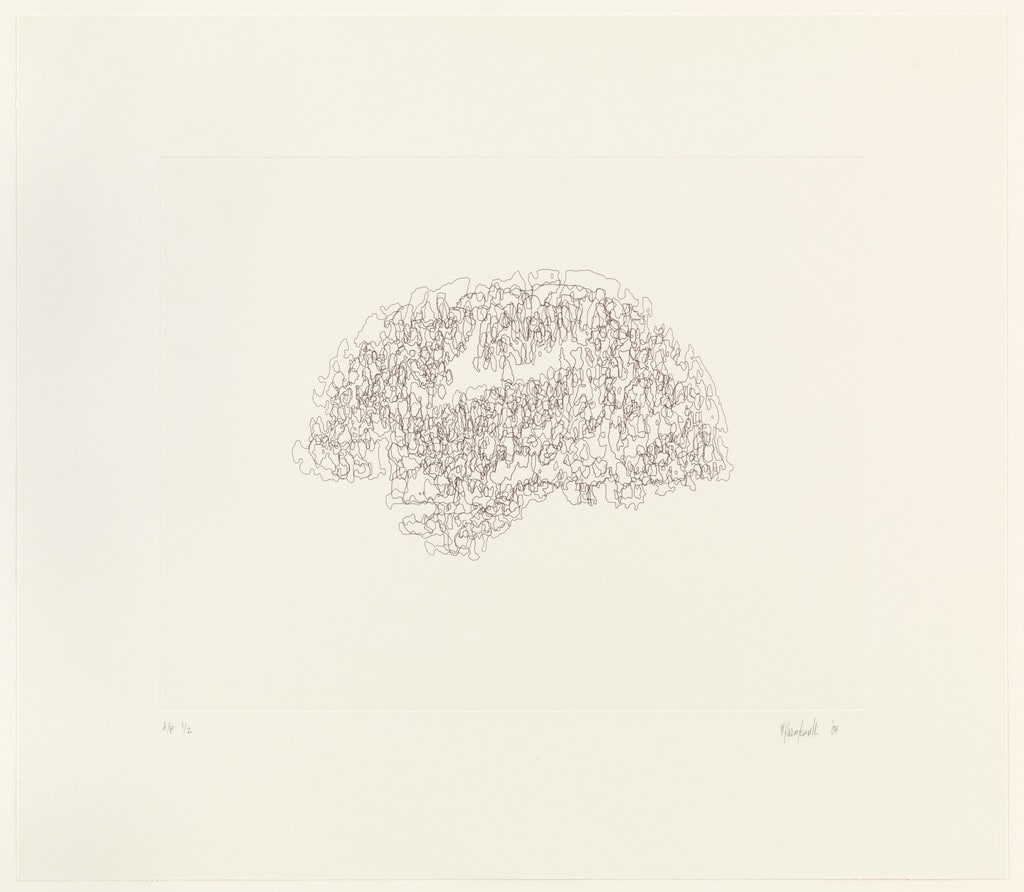 Mapping V (Brain)