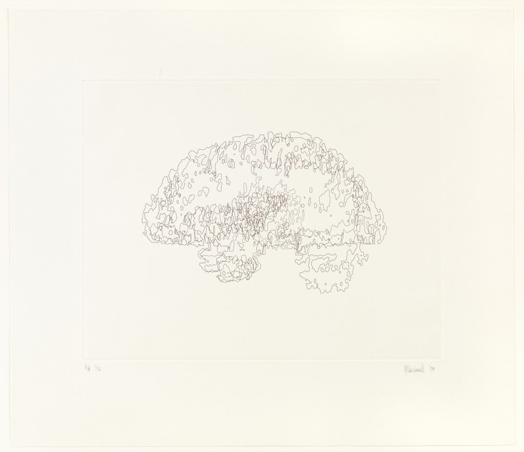 Mapping VI (Brain)