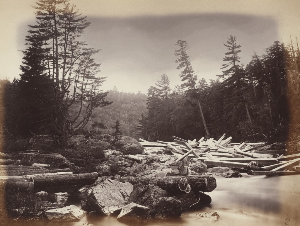 Timber 'Jam' Rouge River