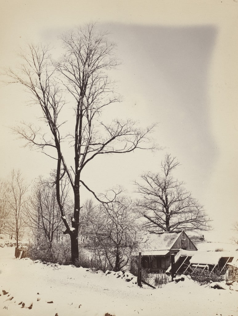 Winter