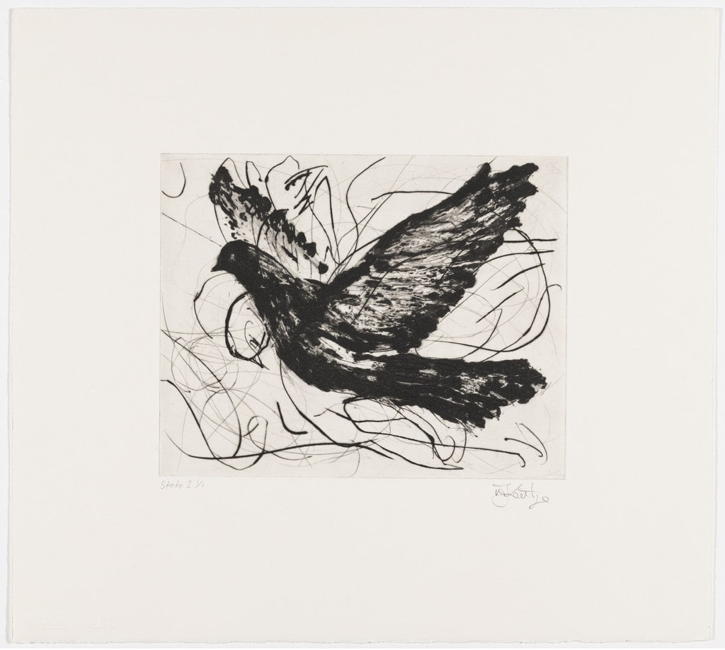 Magic Flute: Dove, state I