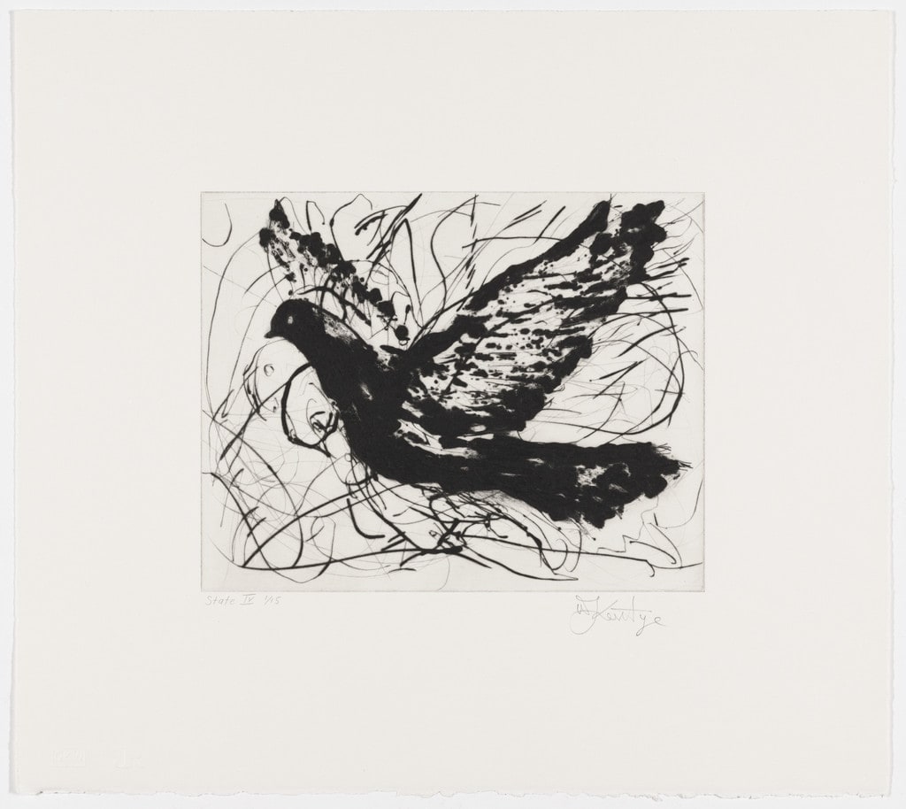 Magic Flute: Dove, state IV
