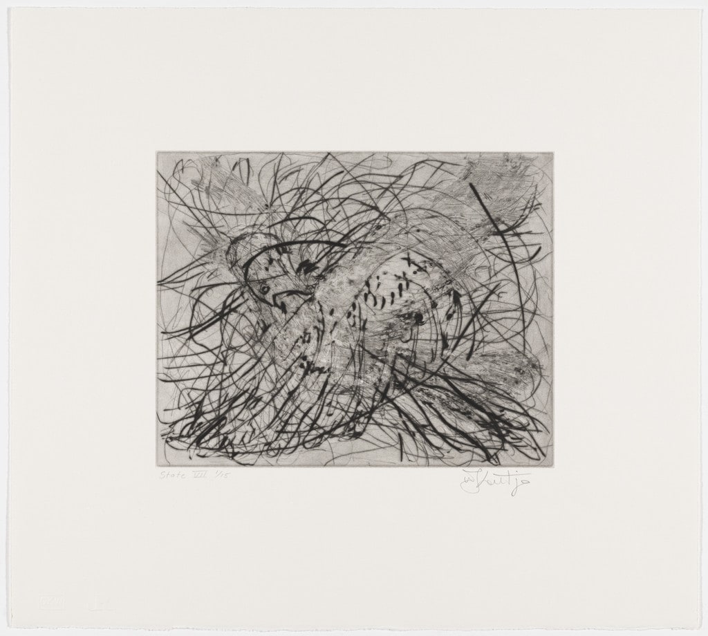 Magic Flute: Dove, state VII