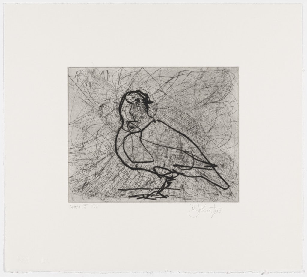 Magic Flute: Dove, state X