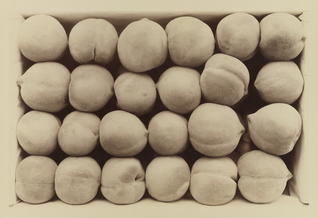 Late George Cling Peaches