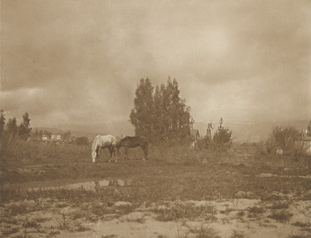 Pasadena Landscape