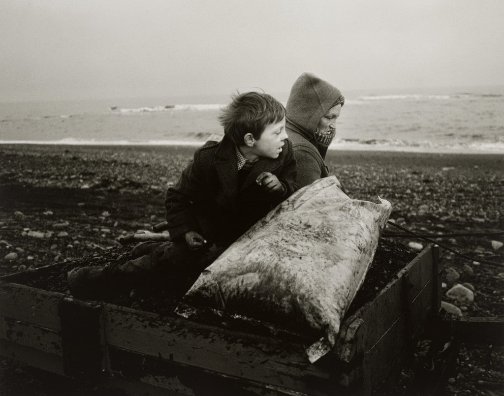 Rocker and Rosie Going Home, Seacoal Beach, Lynemouth, Northumberland