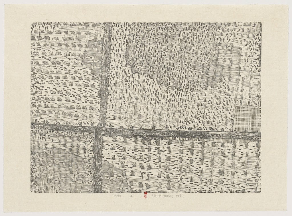 Field from Series of Repetitions