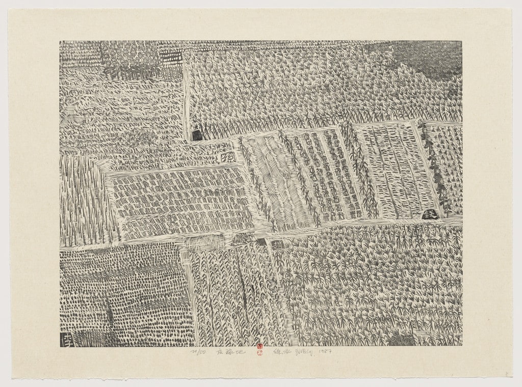 Cropland from Series of Repetitions