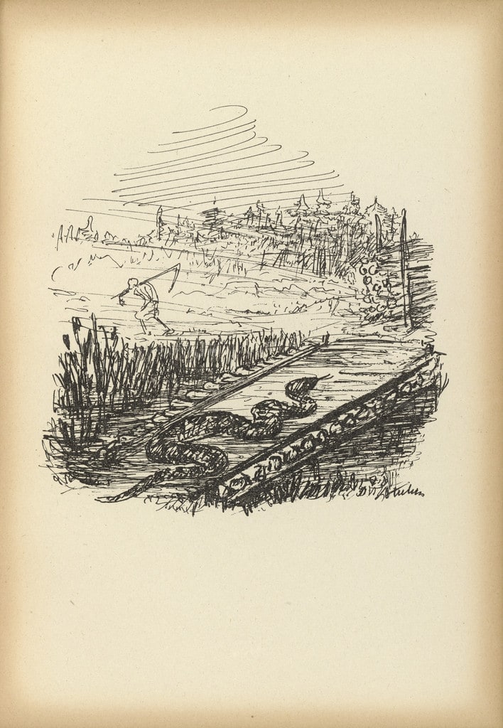 In the Bohemian Forest (Im Böhmerwald) from Ein neuer Totentanz (A New Dance of Death)
