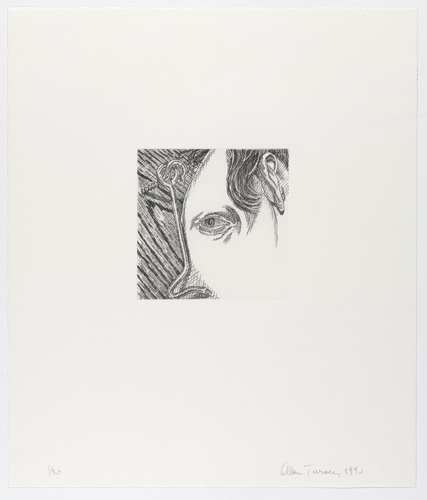 Hook and Eye