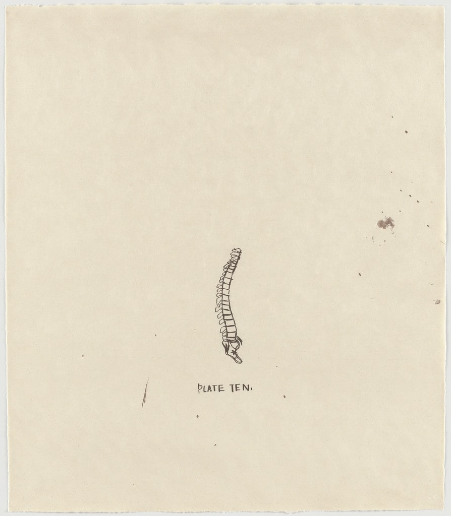 Untitled, From Leonardo