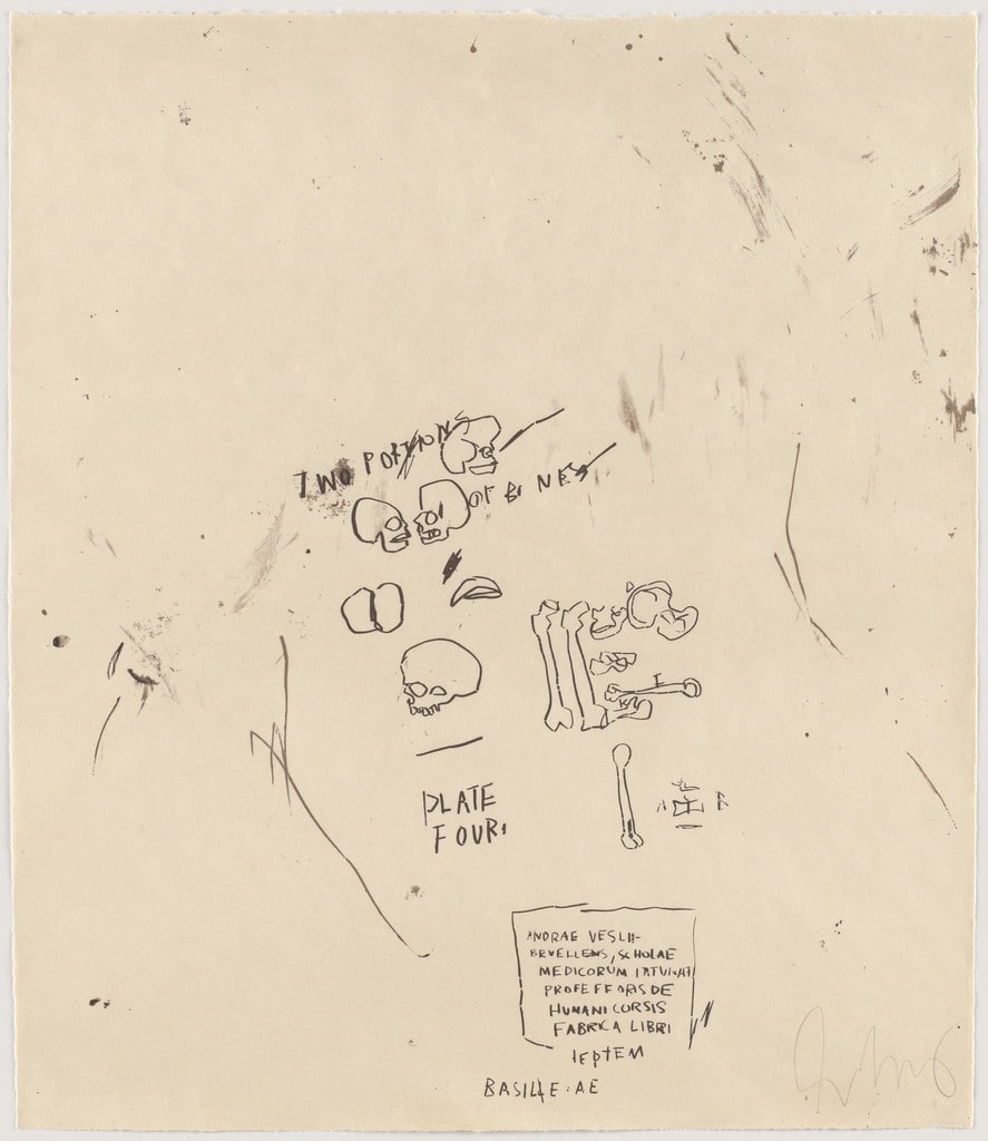 Untitled, From Leonardo