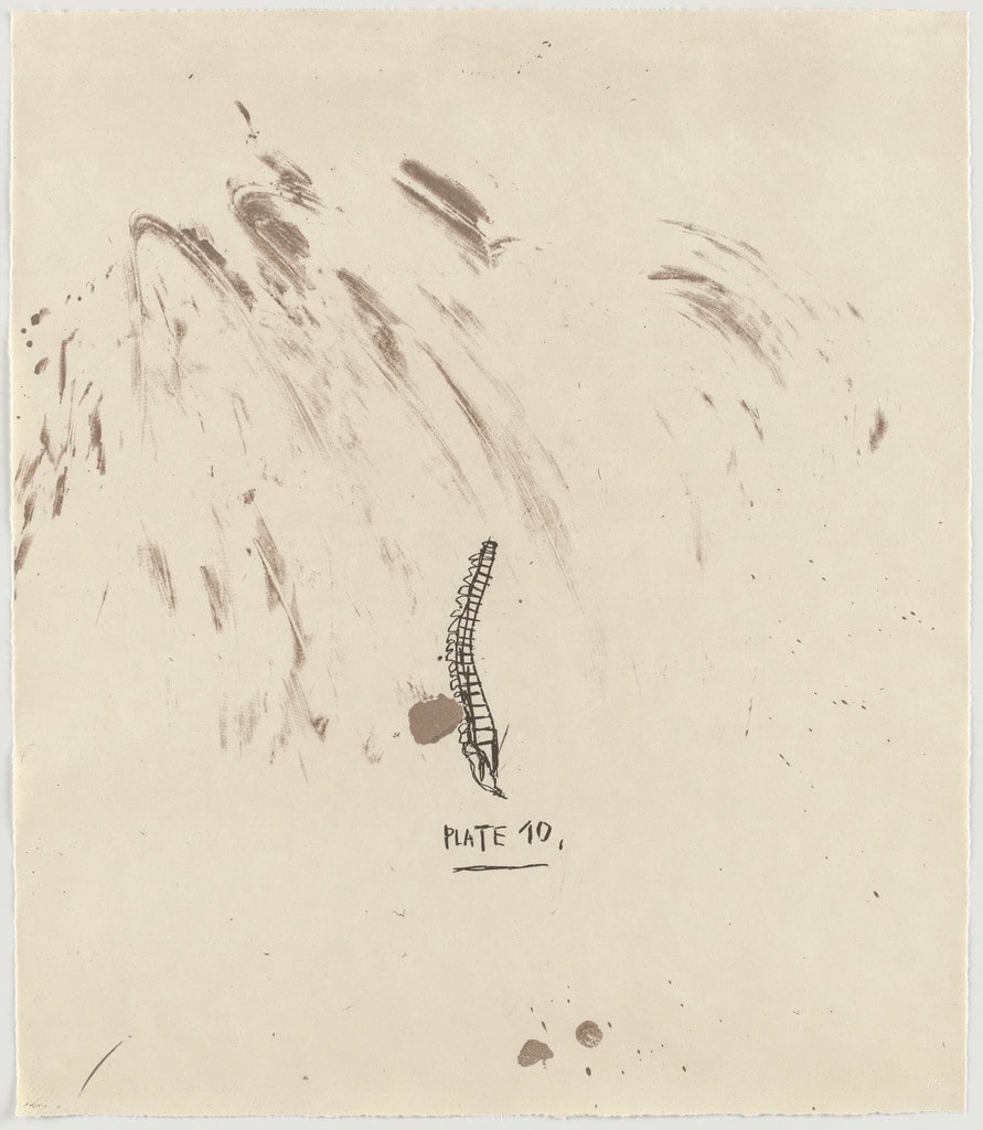 Untitled, From Leonardo